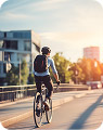 bicycle fatalities